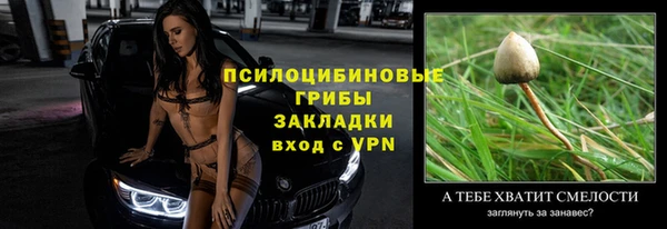 прущие грибы Новодвинск