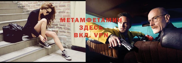 прущие грибы Новодвинск