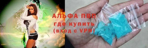 прущие грибы Новодвинск