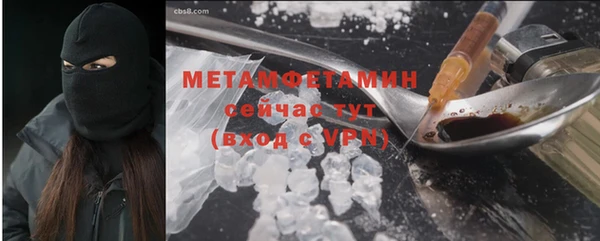 прущие грибы Новодвинск