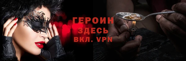 прущие грибы Новодвинск