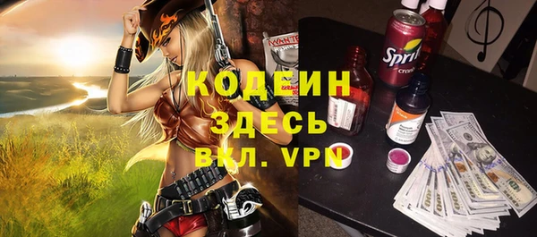 прущие грибы Новодвинск