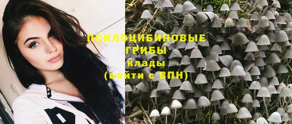 каннабис Новокубанск