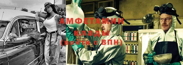 прущие грибы Новодвинск