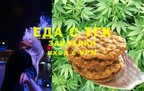 прущие грибы Новодвинск