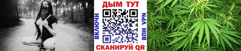 Бошки марихуана THC 21%  Купить закладки  Купино 